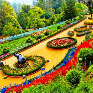 Hotels In Ooty - Upto 50% Discount