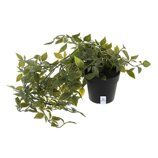 Buy Artificial Plants with Plastic Pot (Green)