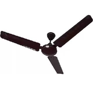 Bajaj Frore 1200 mm Ceiling Fan at Rs.1399