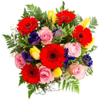 Flowers Gifts Starting From Rs. 399