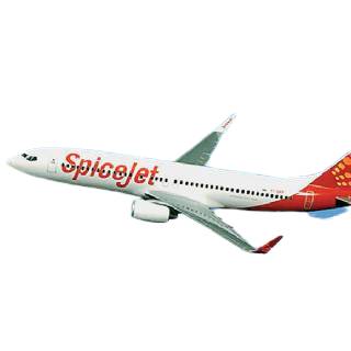 SpiceJet & Go First Domestic Flights Starting at Rs.1126 on Cleartrip
