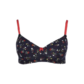 Floral Printed Bras- Upto 70% off + Extra 25% off  on Rs.1399 (Use coupon code: CLOVTD25) & Free Shipping