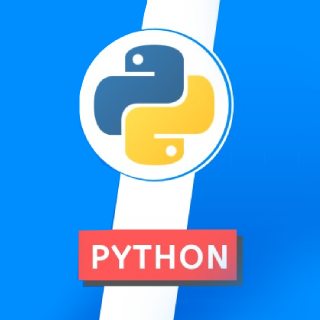 Learn Data Visualization & Techniques with Python Programming Certification Course