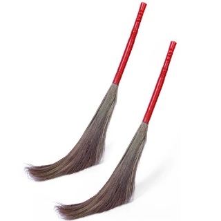 Floor Grass Broom Set Of 2 @ Rs.99 + Free Shipping