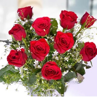 10 Red Roses Bunch at Rs.399