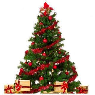 Christmas Tree with Installation at Rs.  549 + Rs. 250 Paypal Cashback