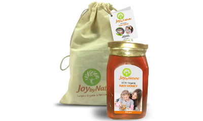 Joybynature Organic Raw Honey 500gm
