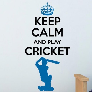 Asian Paints Cricket Yoga Wall Sticker at Rs.149