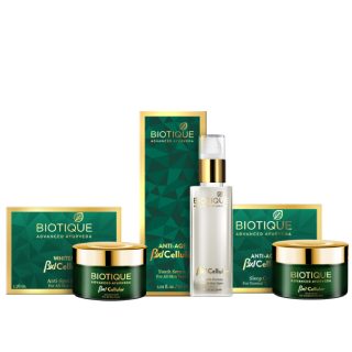 Ayurvedic Skin Care Cosmetics Products at Best Price at Biotique