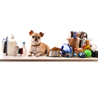 Get Rs.300 Cashback for New User on orders above Rs 1200 on Pet Supplies