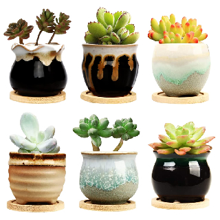 Upto 73% Off on Handicrafts Planter Pot at Tiaraa