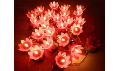 Tu casa Lotus String Light