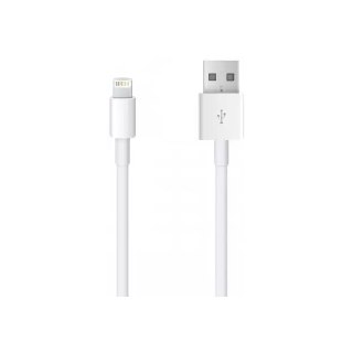 APPLE Lightning Cable at Rs 1699