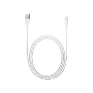 Apple Lightning to USB Cable at Rs 2599