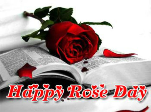 Valentine Day Roses starting at Rs.649
