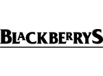 topBrand-logo-541